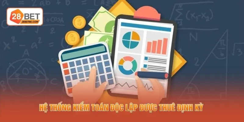 Hệ thống kiểm toán độc lập được thuê định kỳ
